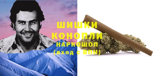 PSILOCYBIN Михайловск