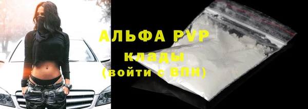 PSILOCYBIN Михайловск