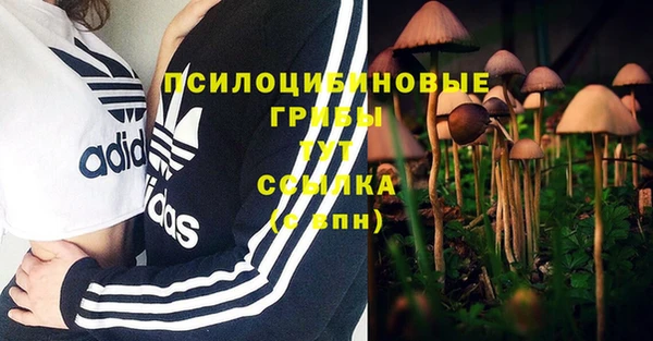 PSILOCYBIN Михайловск