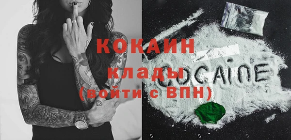 шишки Михайлов