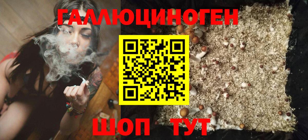 Псилоцибиновые грибы Psilocybine cubensis  Вход с VPN  Благодарный  Псилоцибиновые грибы Psilocybine cubensis 
