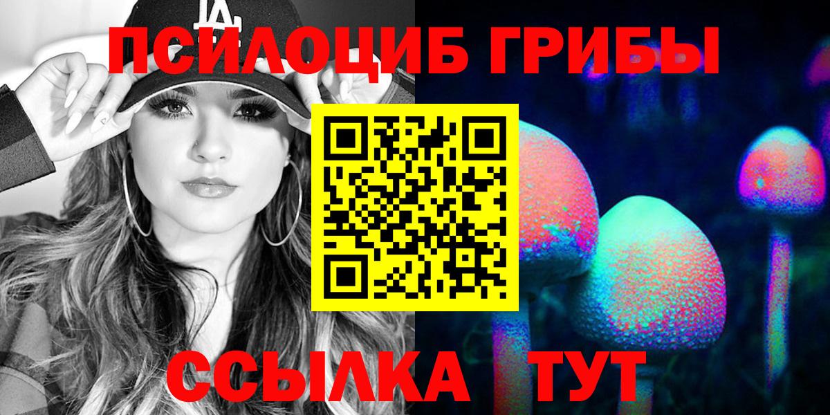 Галлюциногенные грибы прущие грибы  Благодарный  Псилоцибиновые грибы Cubensis 